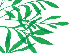 LEAF ART 43