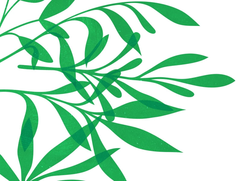 LEAF ART 43