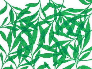 LEAF ART 45