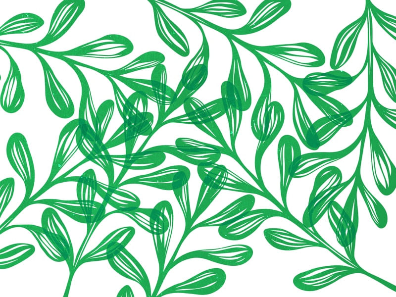 LEAF ART 46