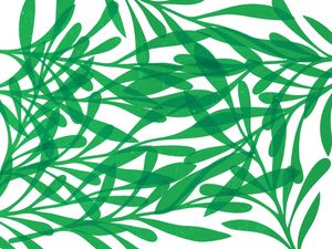 LEAF ART 51