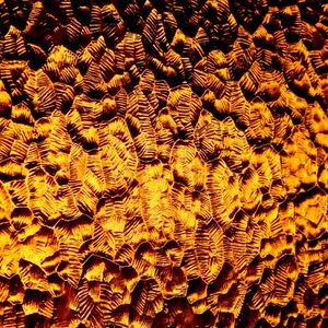 GOLDEN TEXTURE