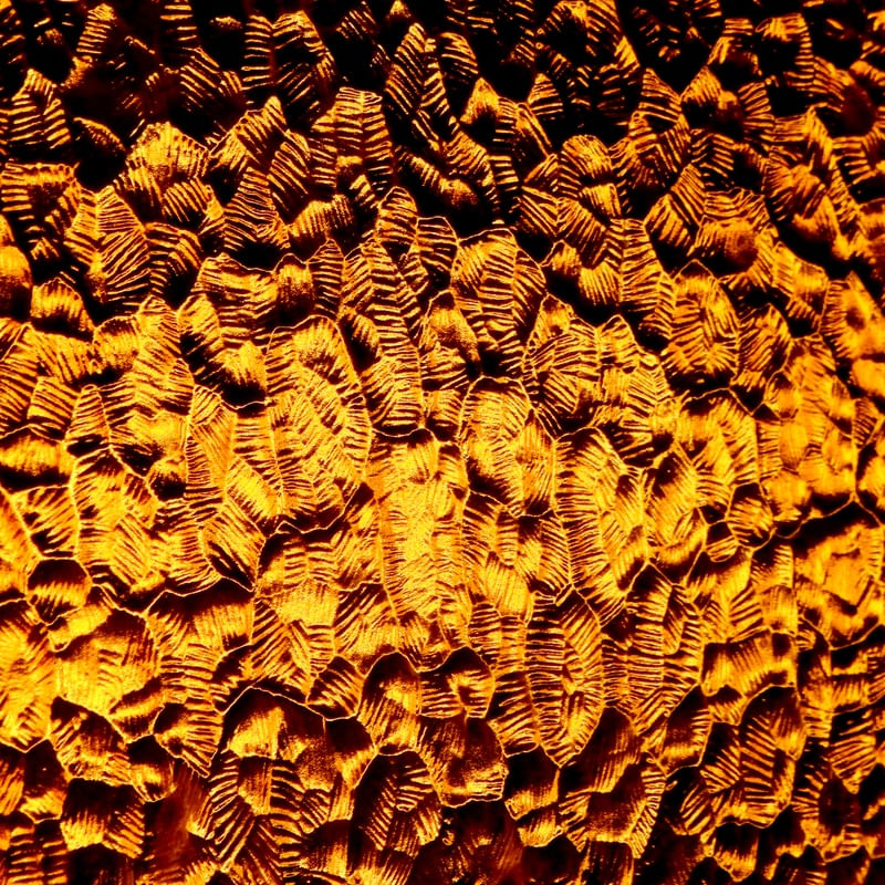 GOLDEN TEXTURE