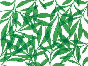 LEAF ART 60