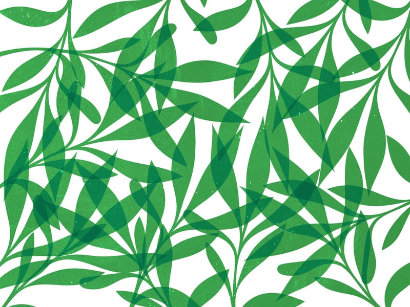LEAF ART 60
