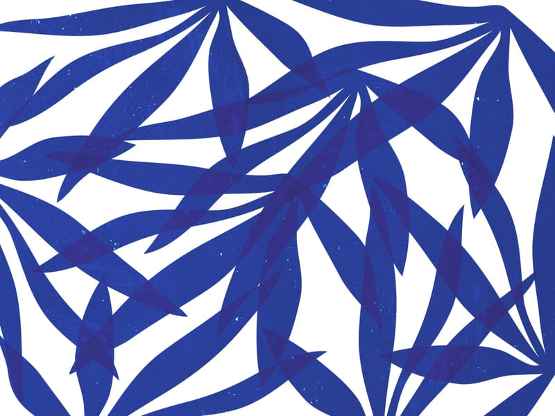 LEAF ART 65