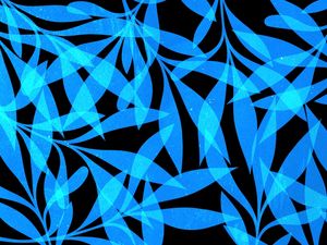 LEAF ART 79