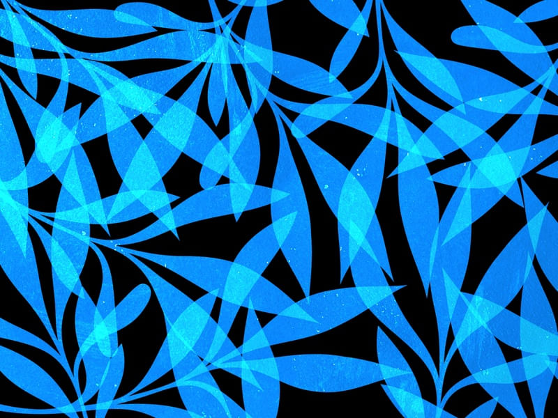 LEAF ART 79