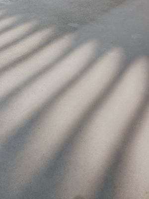 CONCRETE SHADOW