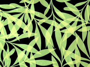 LEAF ART 80