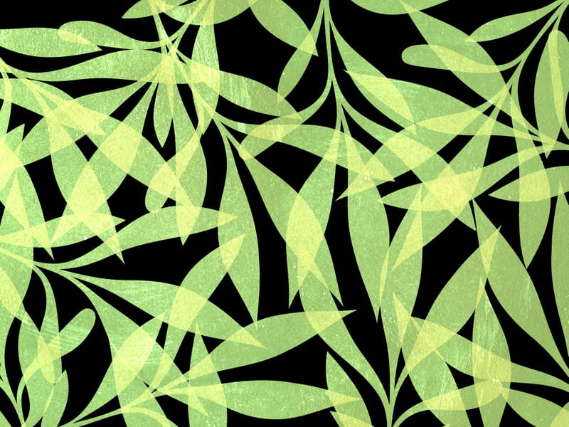 LEAF ART 80