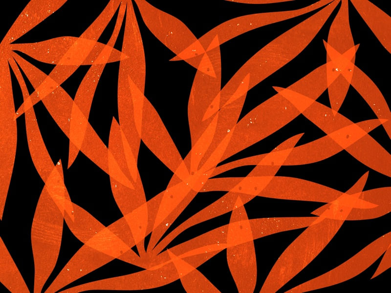 LEAF ART 88