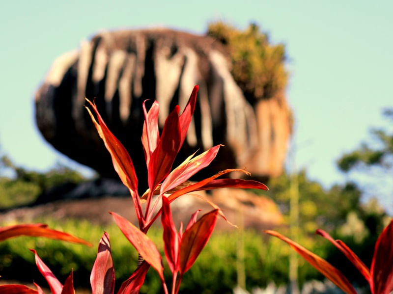 PEDRA DA CEBOLA