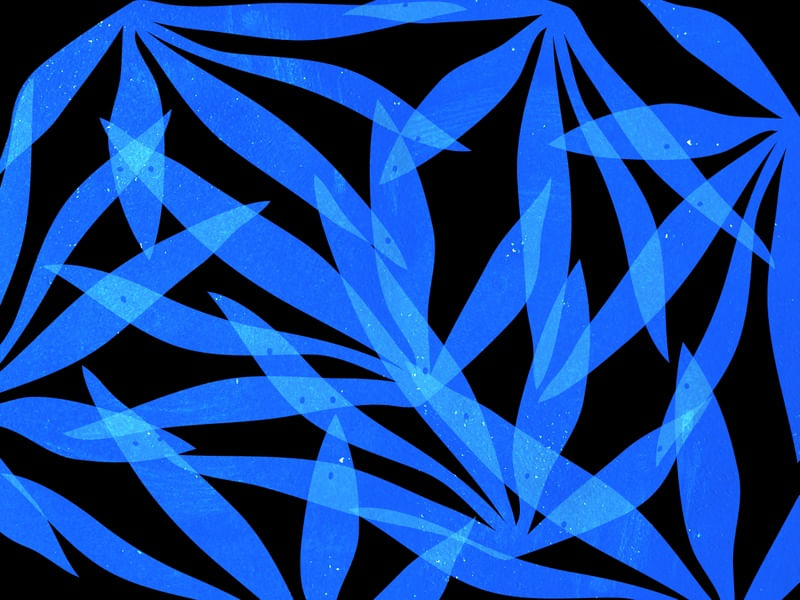 LEAF ART 89