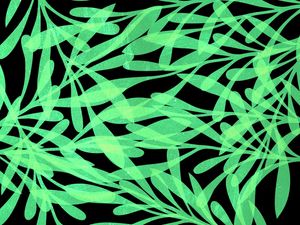 LEAF ART 91