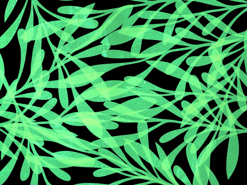 LEAF ART 91