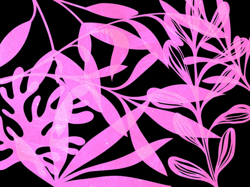 LEAF ART 101