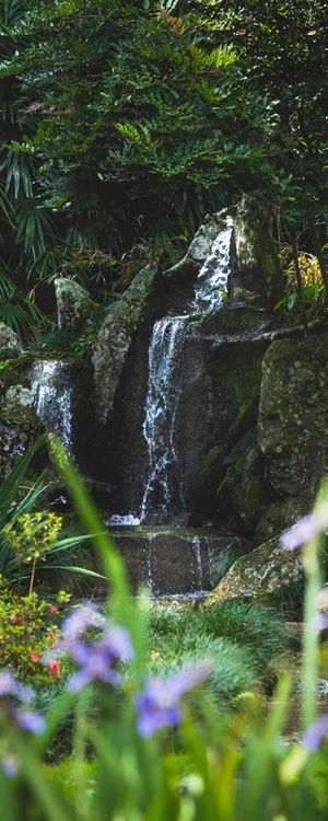 CACHOEIRA JARDIM JAPONÊS