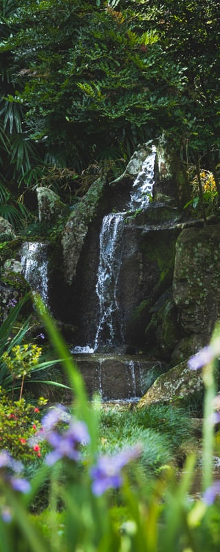 CACHOEIRA JARDIM JAPONÊS