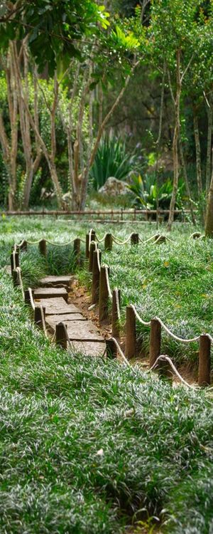 JARDIM JAPONÊS CAMINHOS