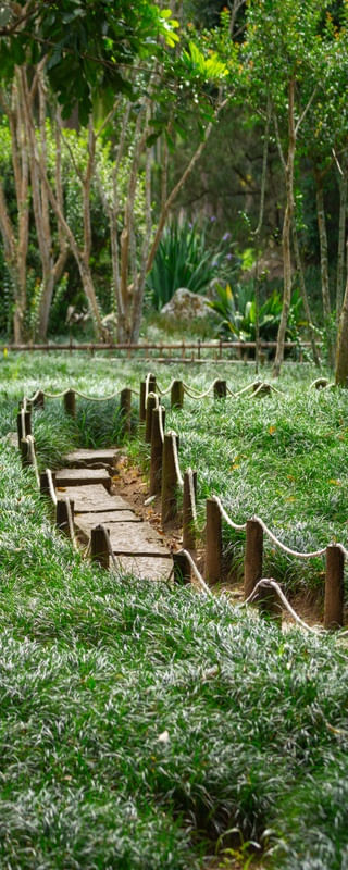 JARDIM JAPONÊS CAMINHOS