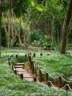 JARDIM JAPONÊS VERDE