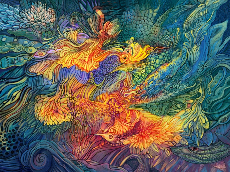 BIODIVERSIDADE