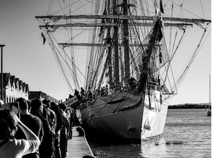 CISNE BRANCO EM PORTO ALEGRE 2022