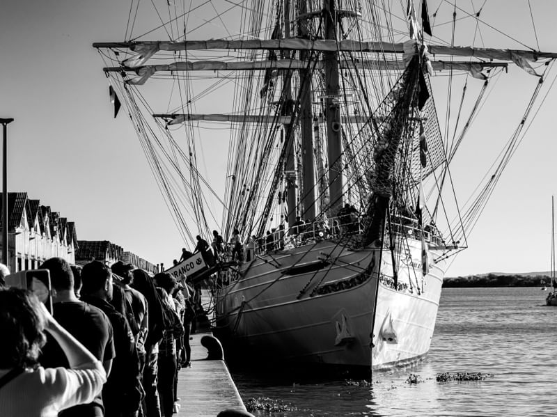 CISNE BRANCO EM PORTO ALEGRE 2022