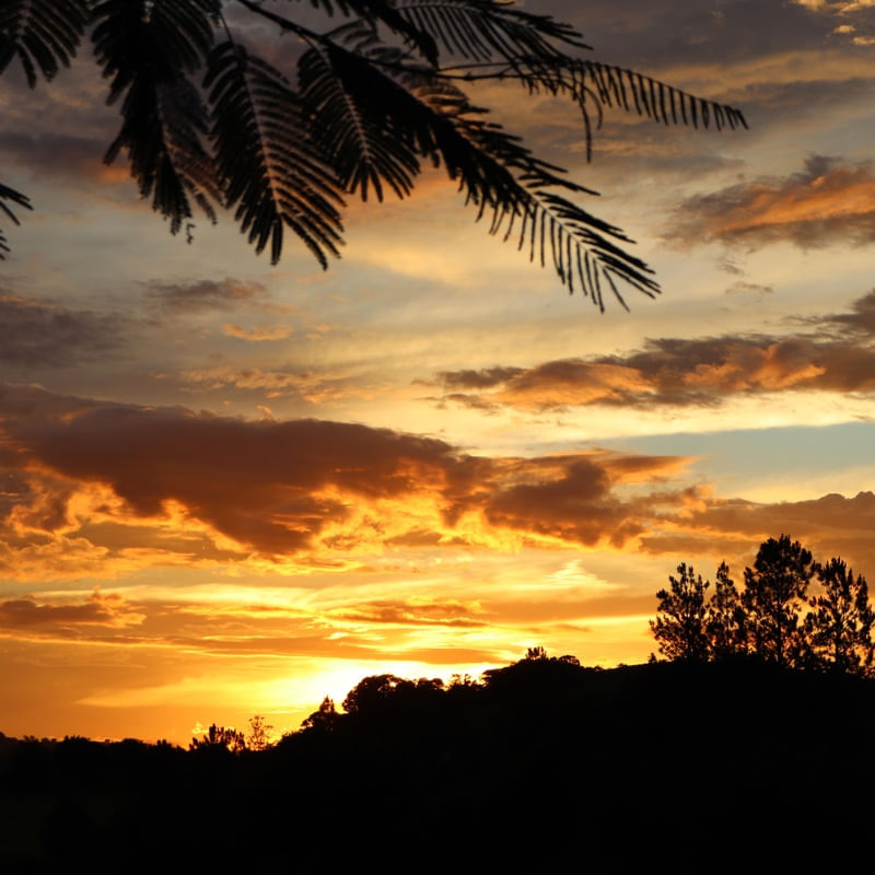 OCASO DO SOL