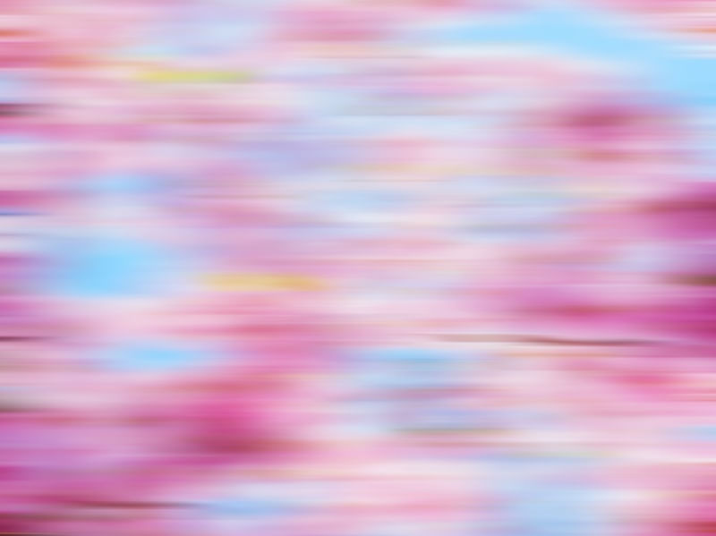 NATUREZA EM MOVIMENTO SÉRIE FLORES ROSAS CÉU CLARO OPÇÃO 02