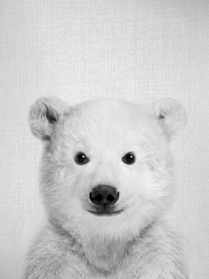 BABY POLAR BEAR - BLACK AND WHITE