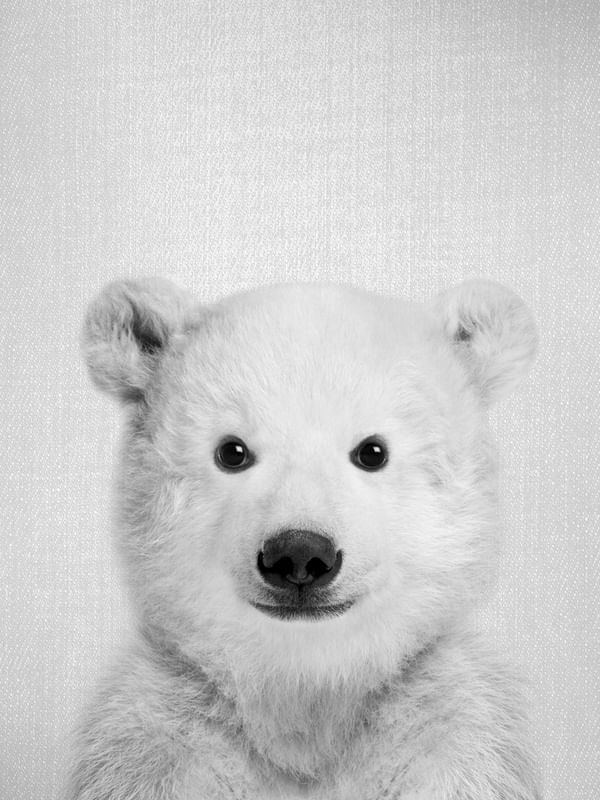 BABY POLAR BEAR - BLACK AND WHITE