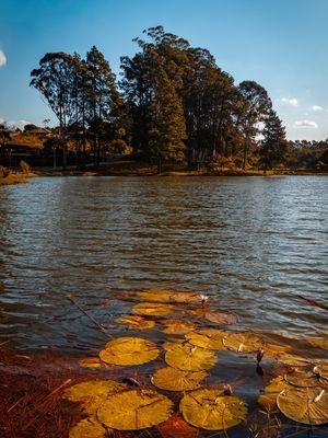 LAGO DE QUATRO BARRAS