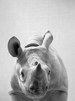 BABY RHINO - BLACK AND WHITE