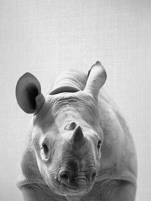 BABY RHINO - BLACK AND WHITE