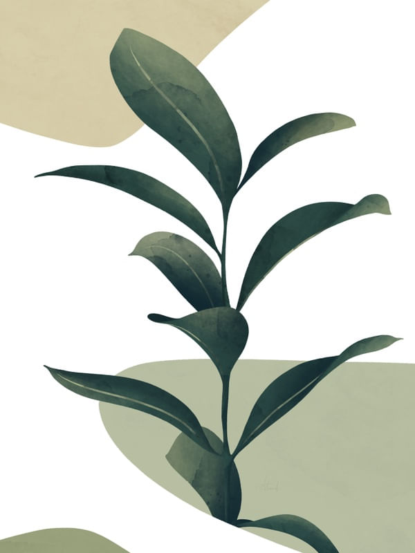FOLIAGES
