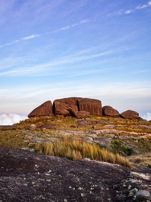 TARTARUGA DE PEDRA