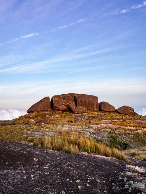 TARTARUGA DE PEDRA