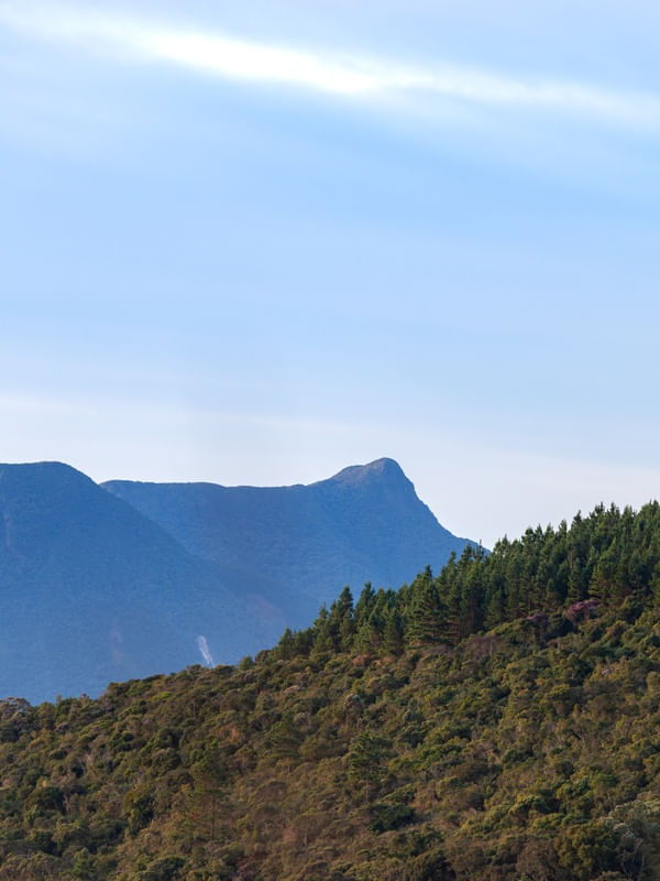 PICO CAPIVARI GRANDE - PARANÁ