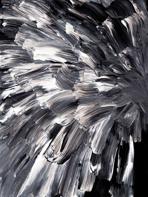 BOTANICAL BURST 7 PRETO E BRANCO CINZA - NEUTRO FLORAIS JARDIM ABSTRATO PINTURA