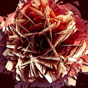 2C ROSE