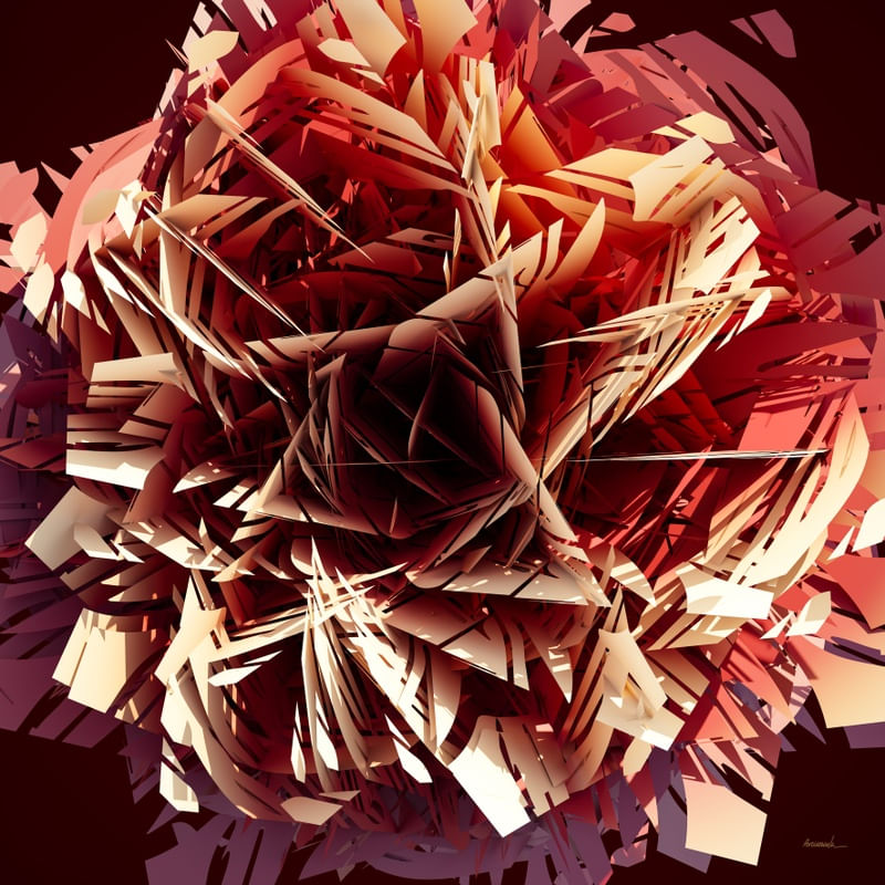 2C ROSE