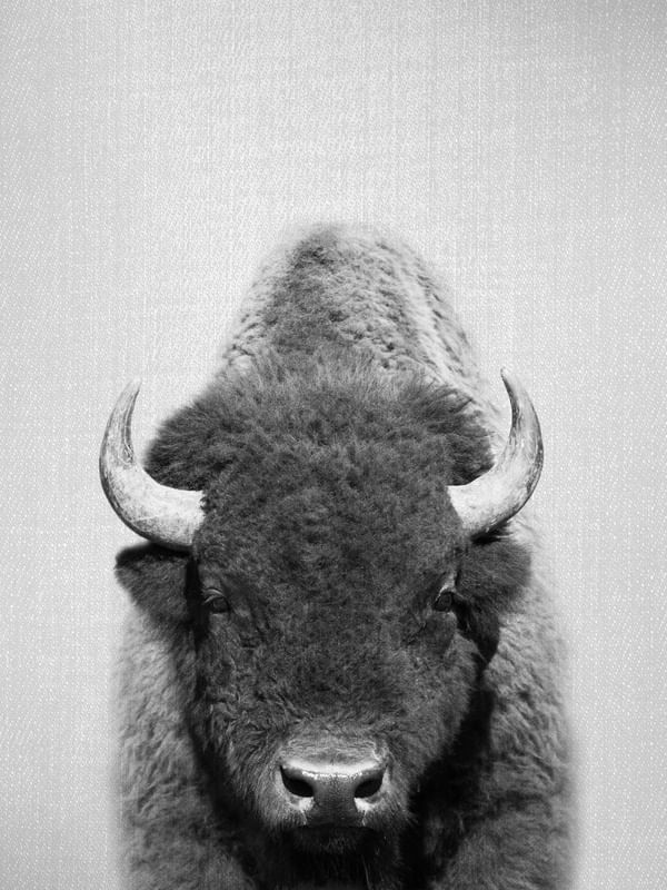 BUFFALO - BLACK AND WHITE
