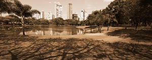 PARQUE DA VACA BRAVA