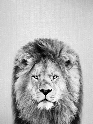 LION - BLACK AND WHITE