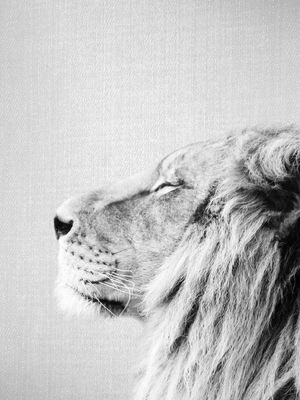 LION PORTRAIT - BLACK AND WHITE