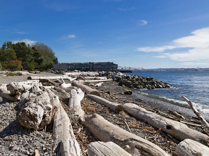 ELLIOT BAY EM SEATTLE