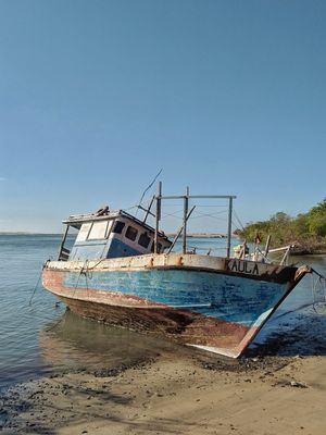 BARCO MOITAS 2