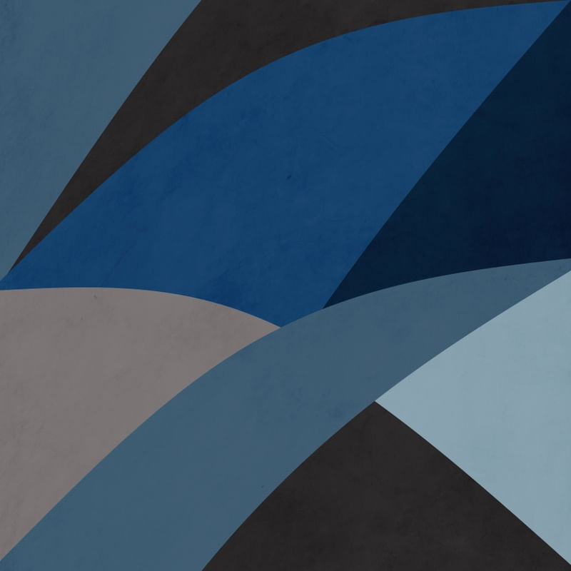 MAX ORGANIC BLUE 2